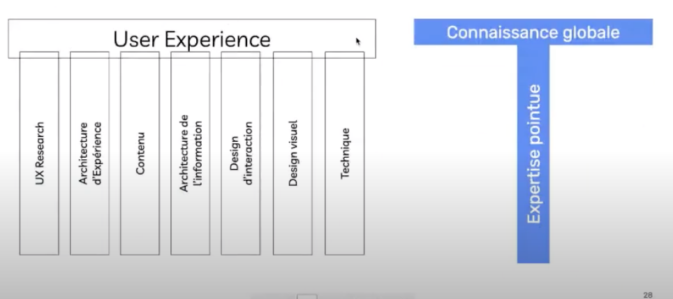 Compétence UX - modèle en T